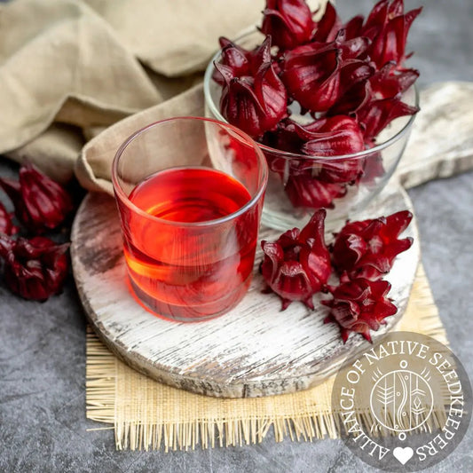 Roselle Seeds - Asian Sour Leaf