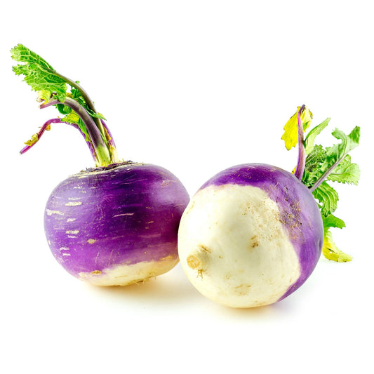 Rutabaga Seeds - Laurentian