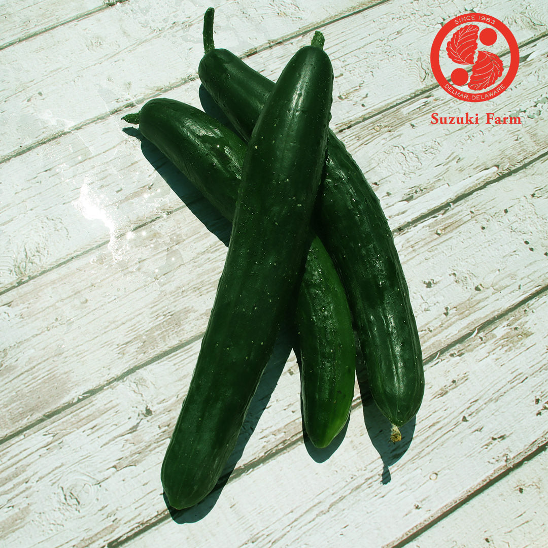 Kyuri (Japanese Cucumber) | Suzuki Farm | 3 pc **+ 2 pc**