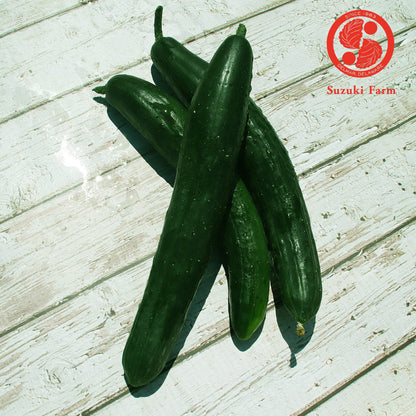 Kyuri (Japanese Cucumber) | Suzuki Farm | 3 pc **+ 2 pc**