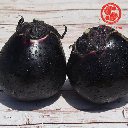 KAMO Eggplant | Suzuki Farm | 2 pc