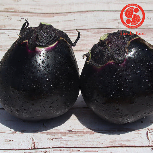 KAMO Eggplant | Suzuki Farm | 2 pc