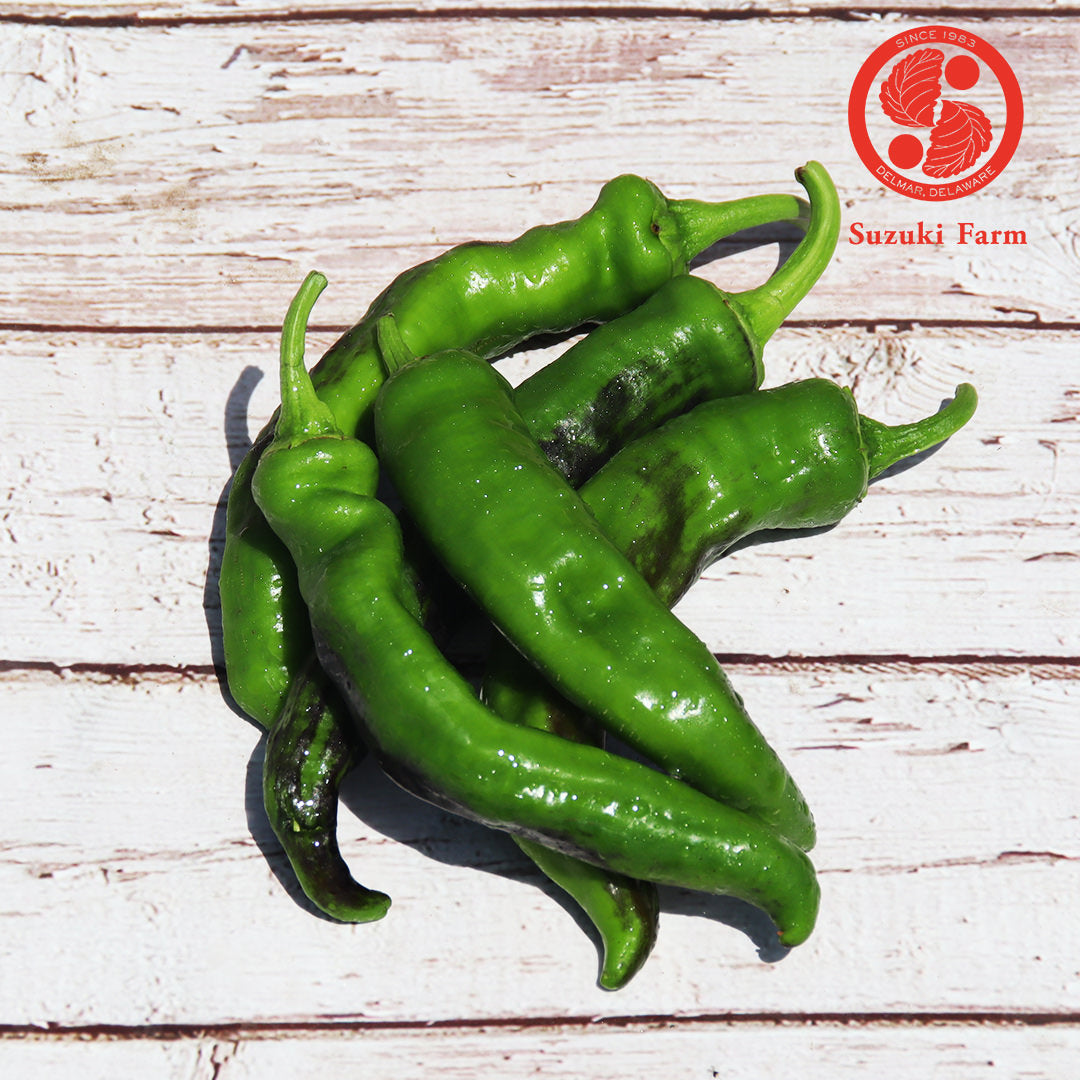 Manganji Pepper | Suzuki Farm | 0.35lb