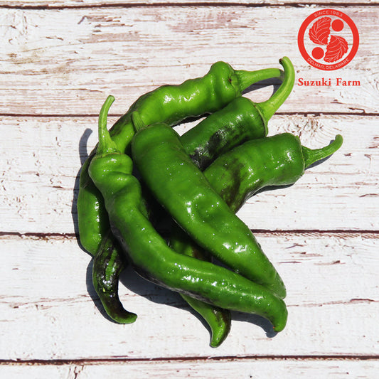Manganji Pepper | Suzuki Farm | 0.35lb
