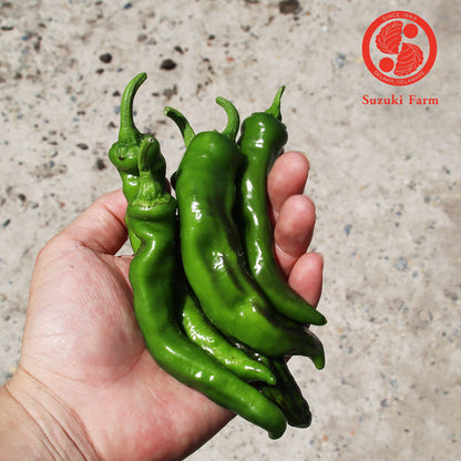 Manganji Pepper | Suzuki Farm | 0.35lb