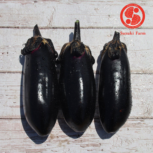 MIZU Eggplant | Suzuki Farm | 3 pc