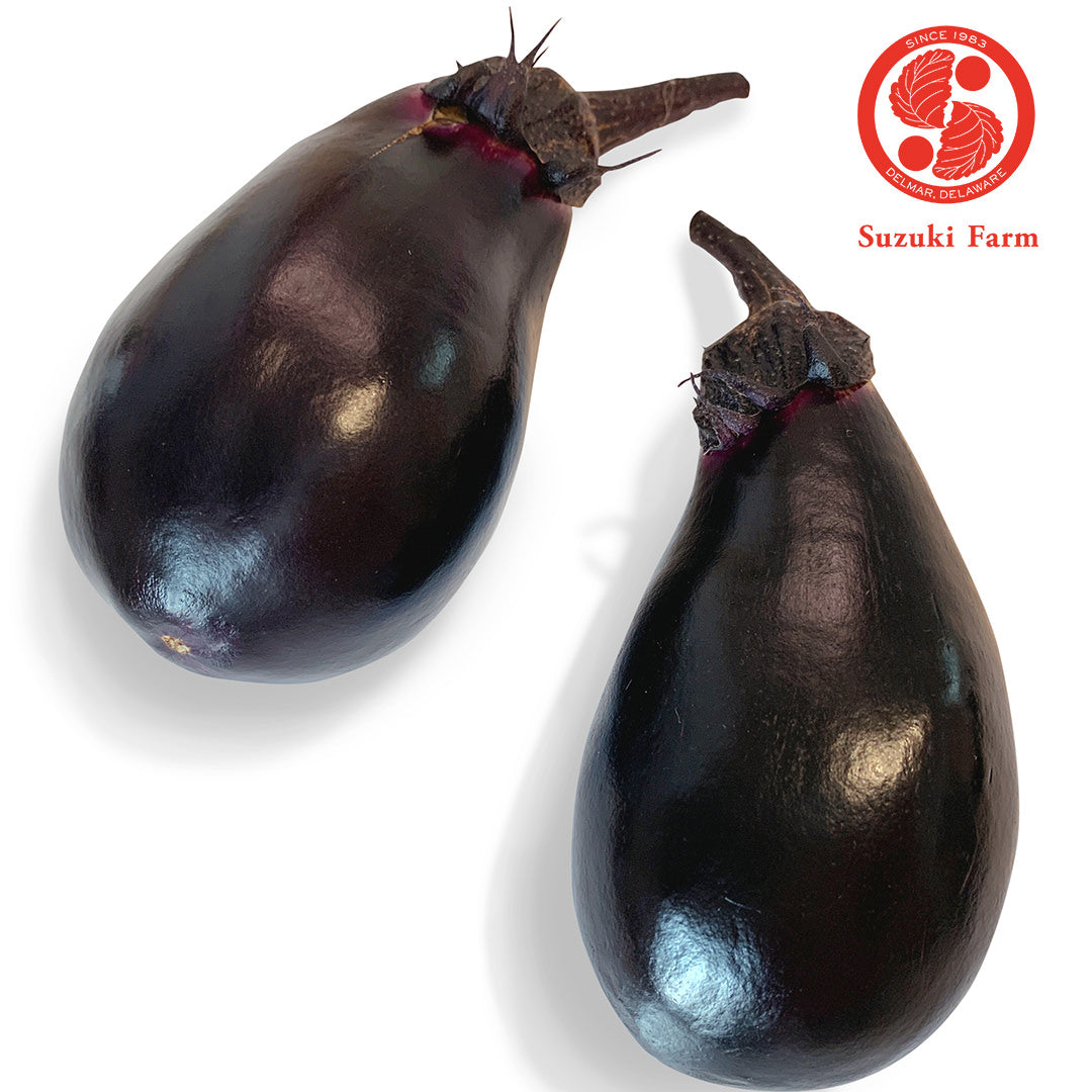 MIZU Eggplant | Suzuki Farm | 3 pc