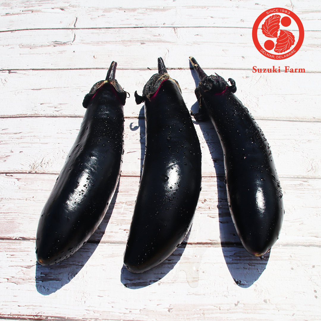 NASU Eggplant | Suzuki Farm | 3 pc "+ 2 pc EXTRA!"