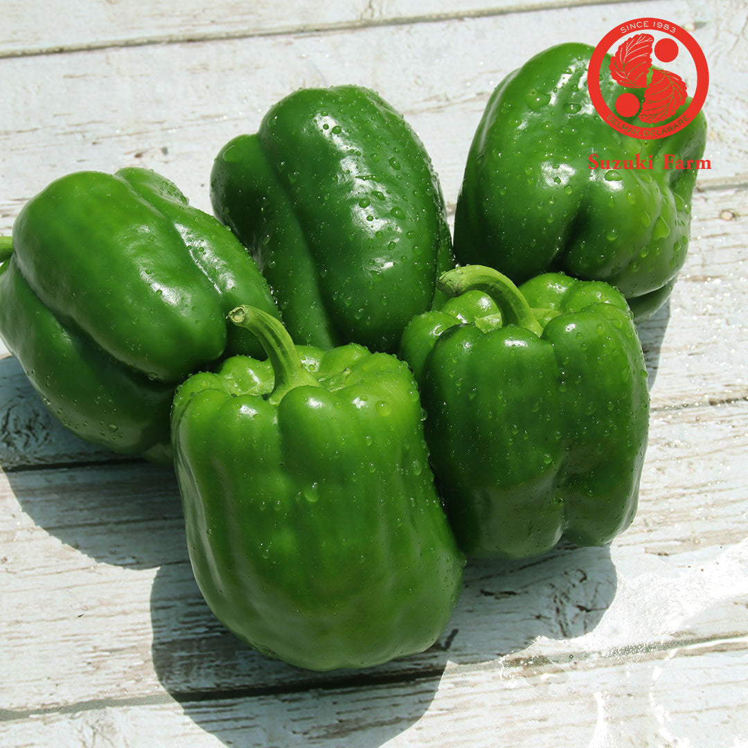 PEAMAN Bellpepper | Suzuki Farm | 5 pc **+ 2 pc**