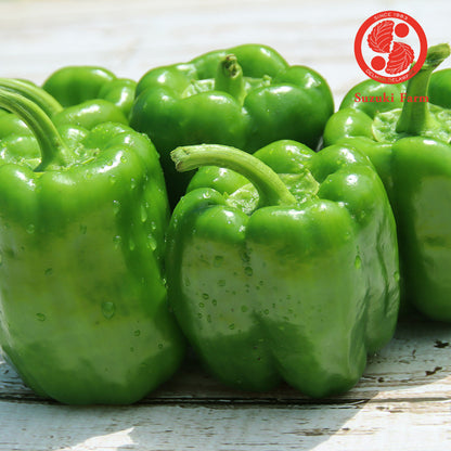 PEAMAN Bellpepper | Suzuki Farm | 5 pc **+ 2 pc**