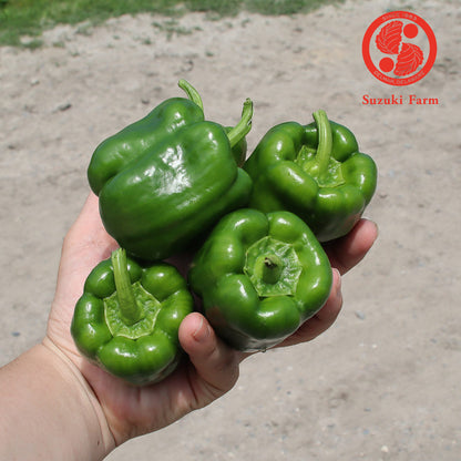 PEAMAN Bellpepper | Suzuki Farm | 5 pc **+ 2 pc**