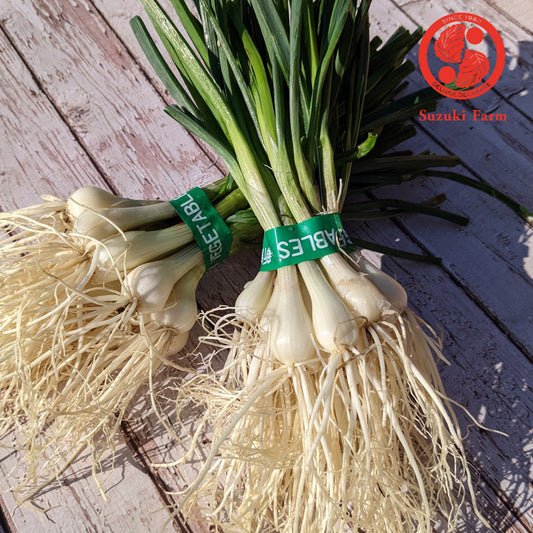 RAKKYO, Scallion for pickles  | Suzuki Farm | 1 bunch