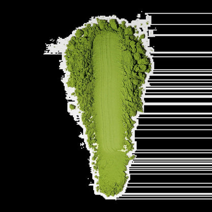 Samidori Single Cultivar Matcha, Tea from isshiki matcha