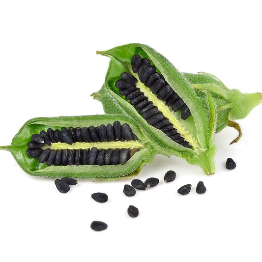 Sesame Seeds - Black - Kurogoma