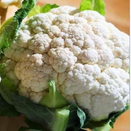Snowball Self Blanching Cauliflower Seeds