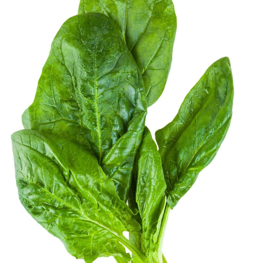 Spinach Seeds - Giant Noble