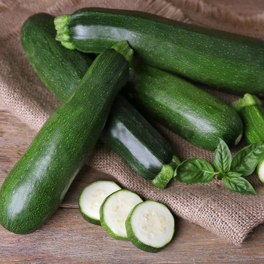 Zucchini Seeds - Vining - Black Beauty