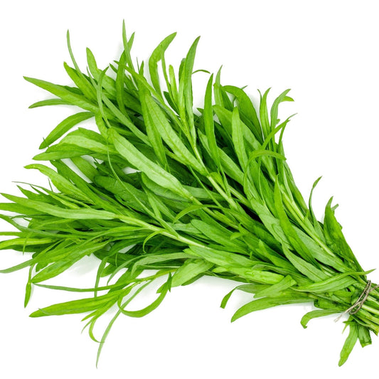 Tarragon Seeds - Russian
