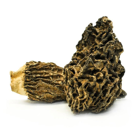 Dried Wild Mushrooms Assortment