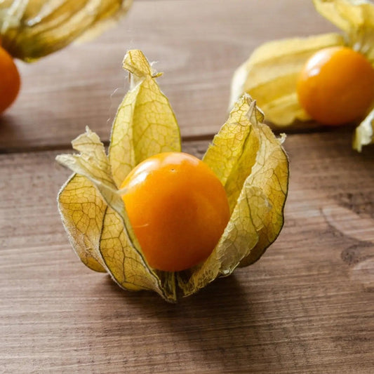 Tomatillo Seeds - Peruviana - Cape Gooseberry