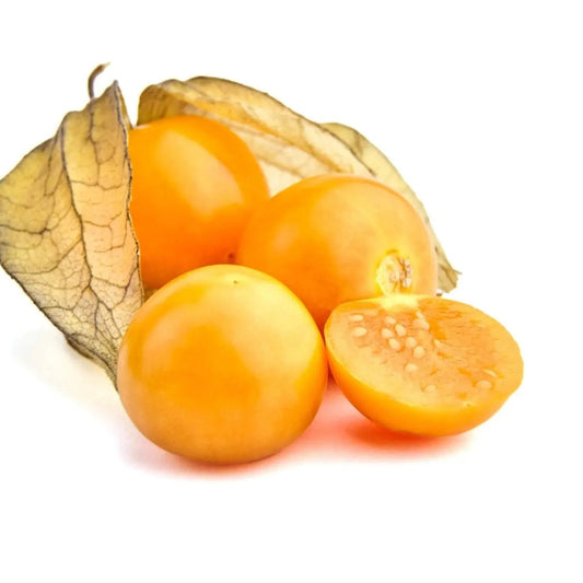 Tomatillo Seeds - Pruinosa - Goldie Ground Cherry
