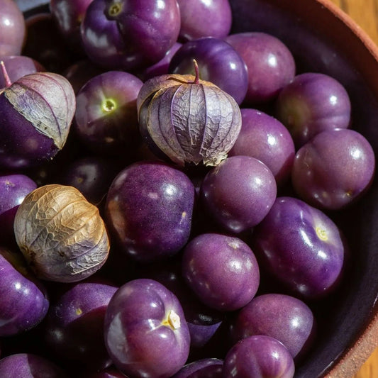 Tomatillo Seeds - Ixocarpa - Really Purple