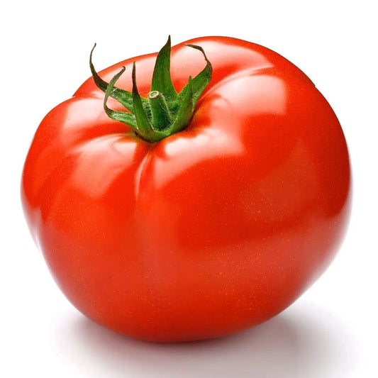 Tomato Seeds - Indeterminate - Abe Lincoln Original Beefsteak