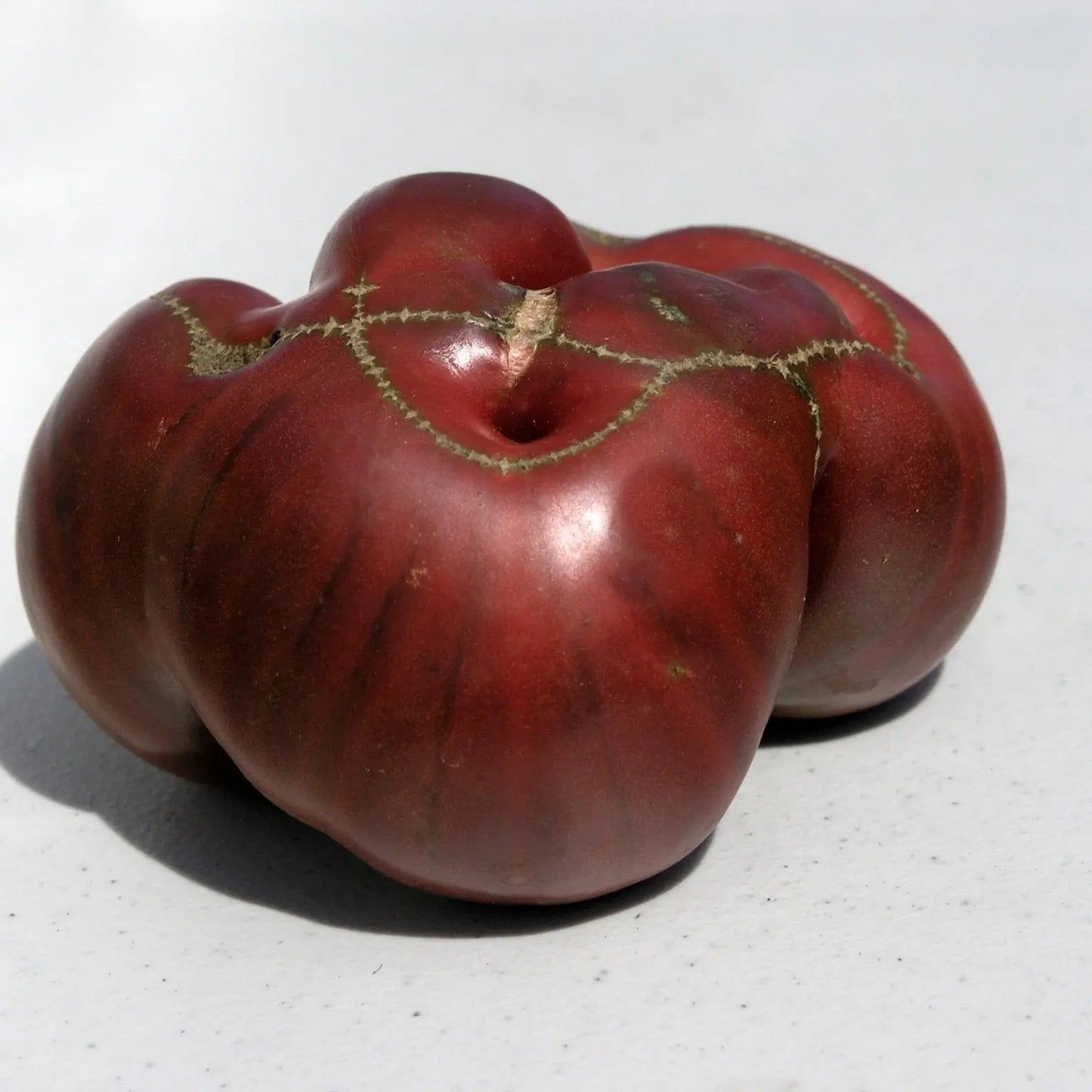 Tomato Seeds - Indeterminate - Black From Tula Beefsteak