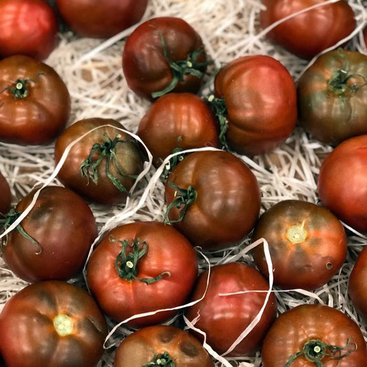 Tomato Seeds - Indeterminate - Black Prince Beefsteak