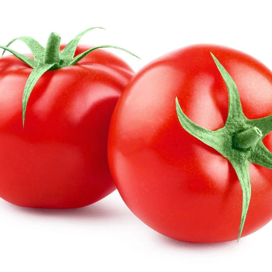 Tomato Seeds - Indeterminate - Bonny Best Standard