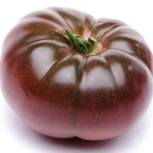 Tomato Seeds - Indeterminate - Carbon Beefsteak