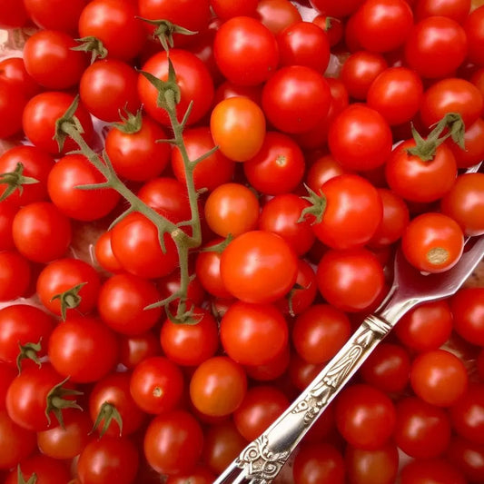 Tomato Seeds - Indeterminate - Matt's Wild Cherry