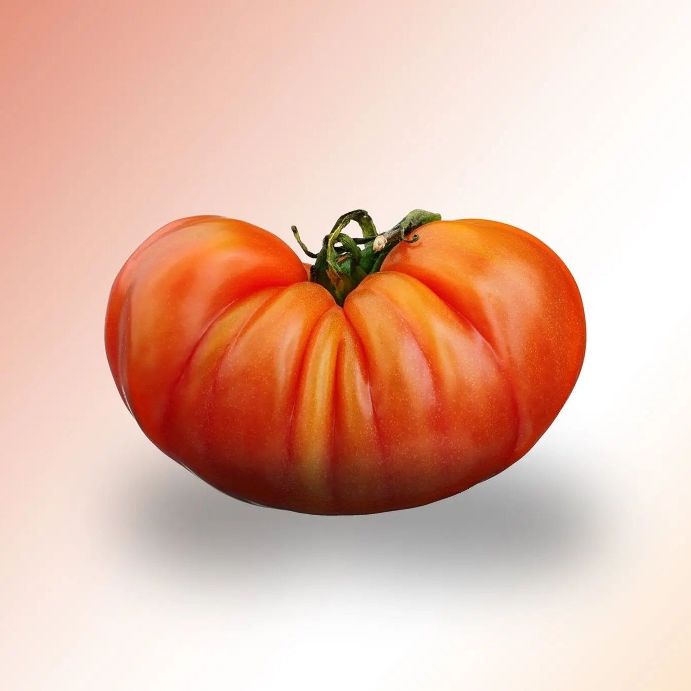 Tomato Seeds - Indeterminate - German Johnson Beefsteak