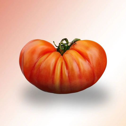 Tomato Seeds - Indeterminate - German Johnson Beefsteak