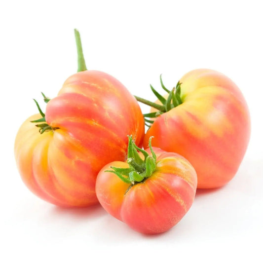 Tomato Seeds - Indeterminate - Hillbilly Beefsteak