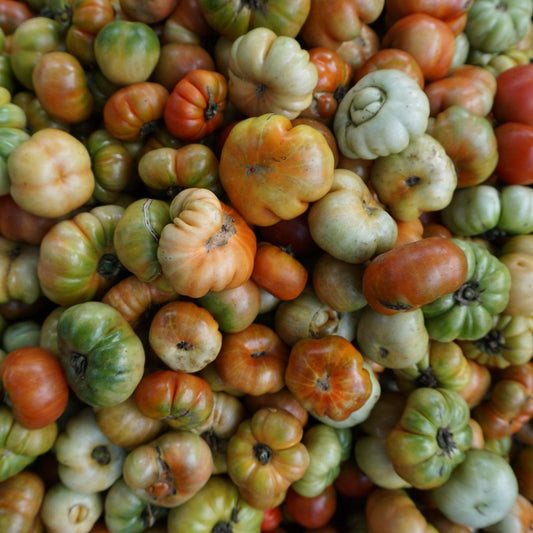 Tomato Seeds - Indeterminate - Ananas Noire Or Black Pineapple Beefsteak