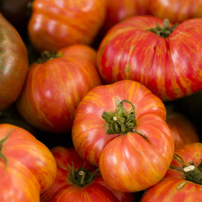 Tomato Seeds - Indeterminate - Big Rainbow Beefsteak