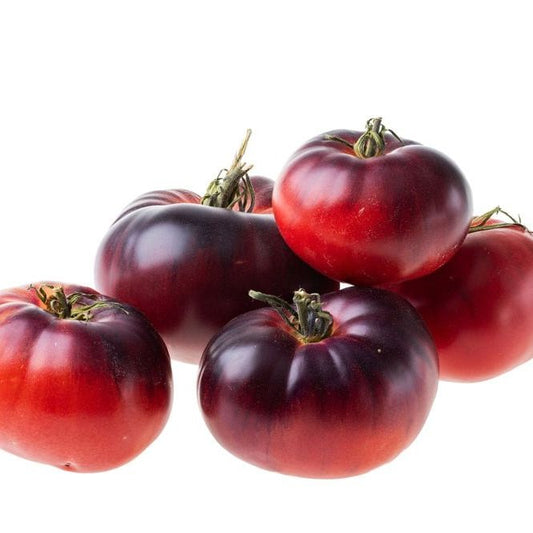 Tomato Seeds - Indeterminate - Black Prince Beefsteak