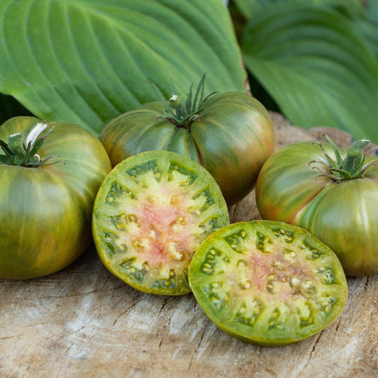 Tomato Seeds - Indeterminate - Cherokee Green Beefsteak