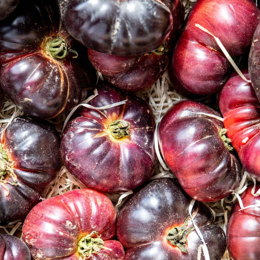 Tomato Seeds - Indeterminate - Cherokee Purple Tomato Standard