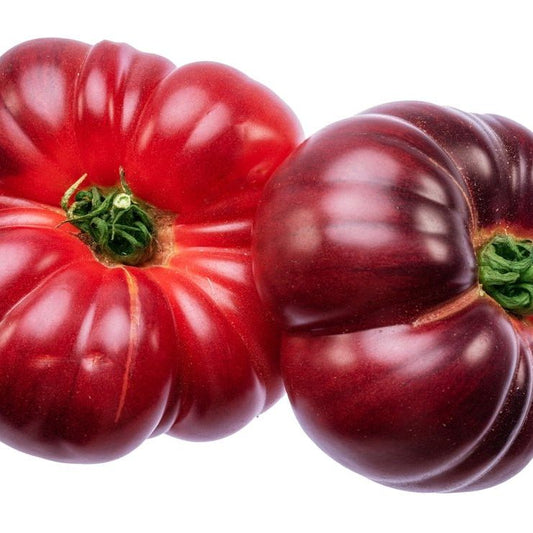 Tomato Seeds - Indeterminate - Cherokee Purple Tomato Standard