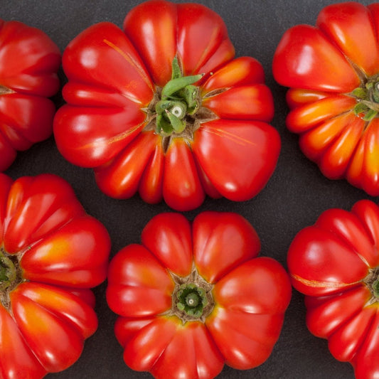 Tomato Seeds - Indeterminate - German Johnson Beefsteak