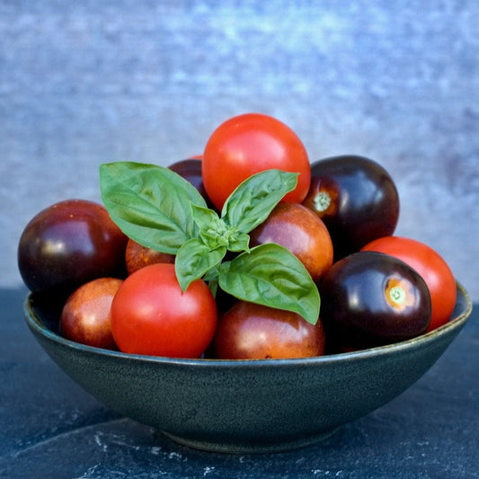 Tomato Seeds - Indeterminate - Indigo Cherry Drops Cherry