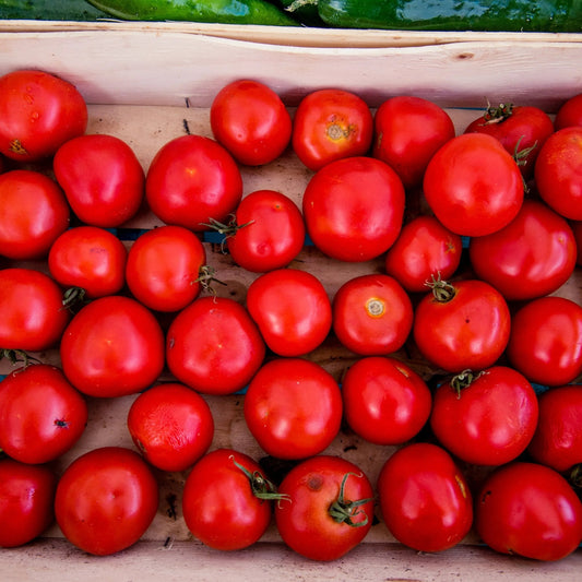 Tomato Seeds - Indeterminate - Manitoba Heirloom Standard