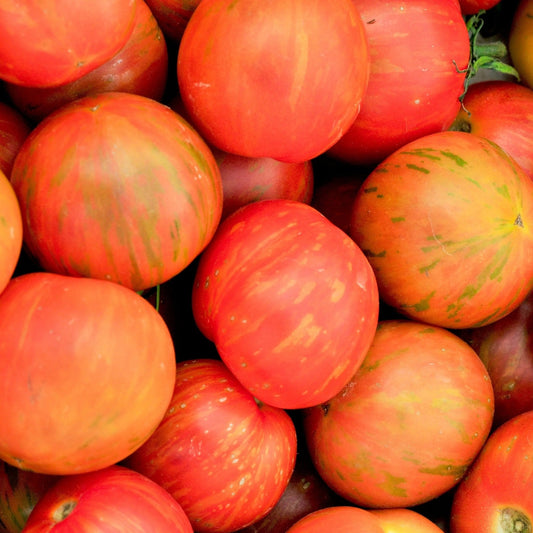 Tomato Seeds - Indeterminate - Tigerella Slicing