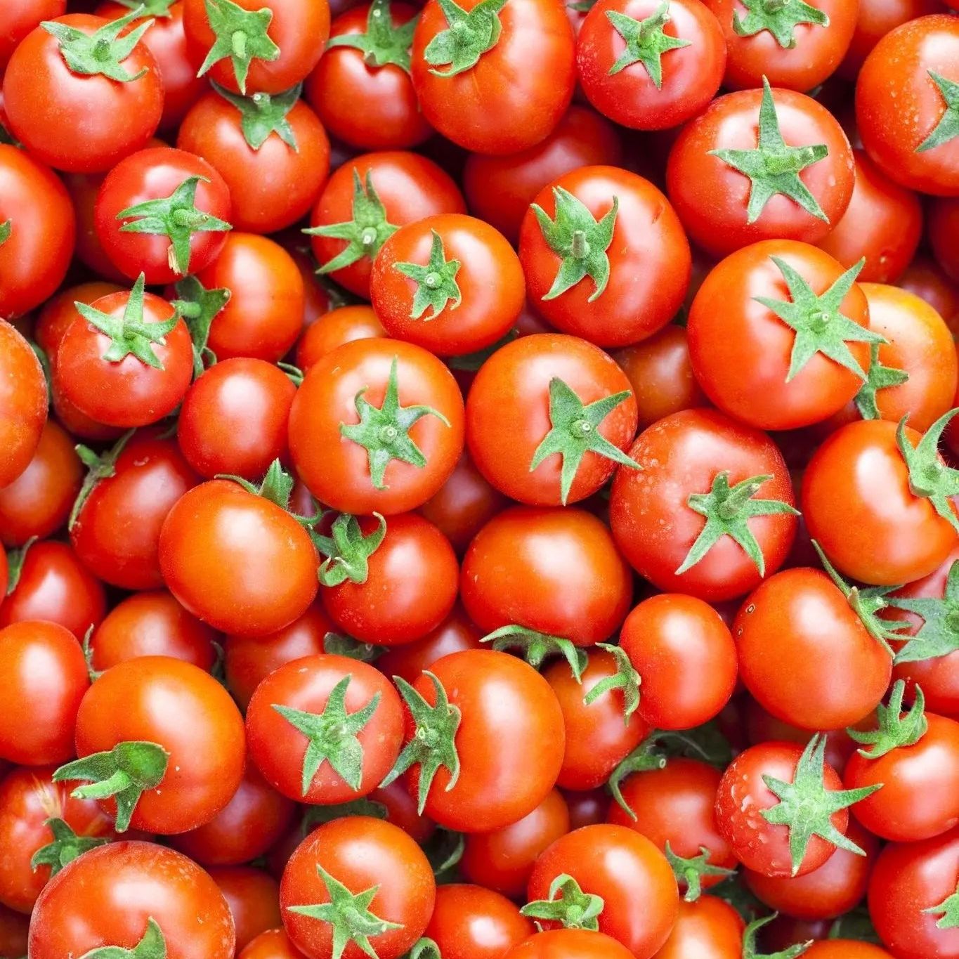 Tomato Seeds - Indeterminate - Large Red Cherry