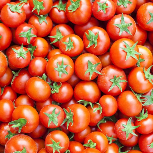 Tomato Seeds - Indeterminate - Large Red Cherry