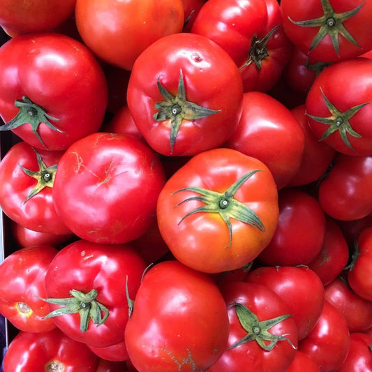 Tomato Seeds - Indeterminate - Nepal Heirloom Standard