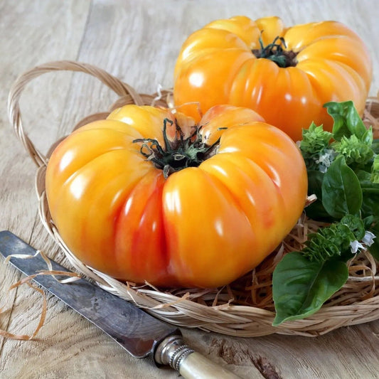 Tomato Seeds - Indeterminate - Classic Pineapple