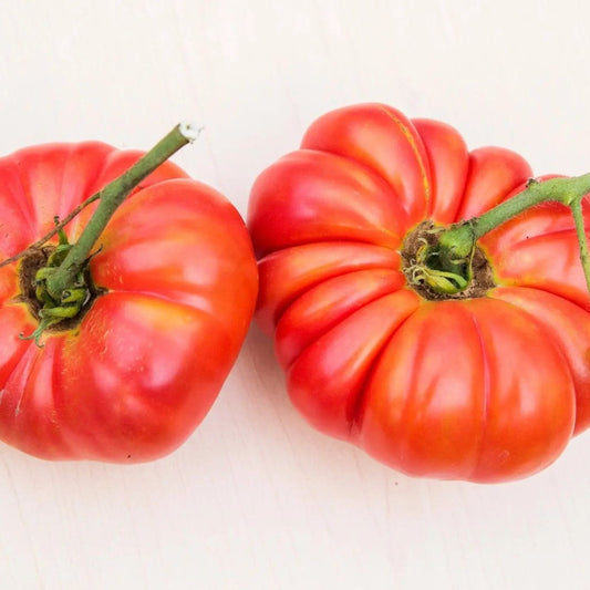 Tomato Seeds - Indeterminate - Pink Brandywine Beefsteak